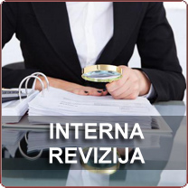 Interna revizija